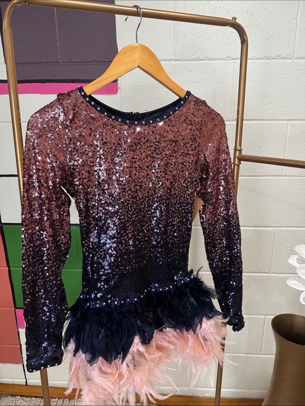 Sequin Ombré Feathered Dance Costume